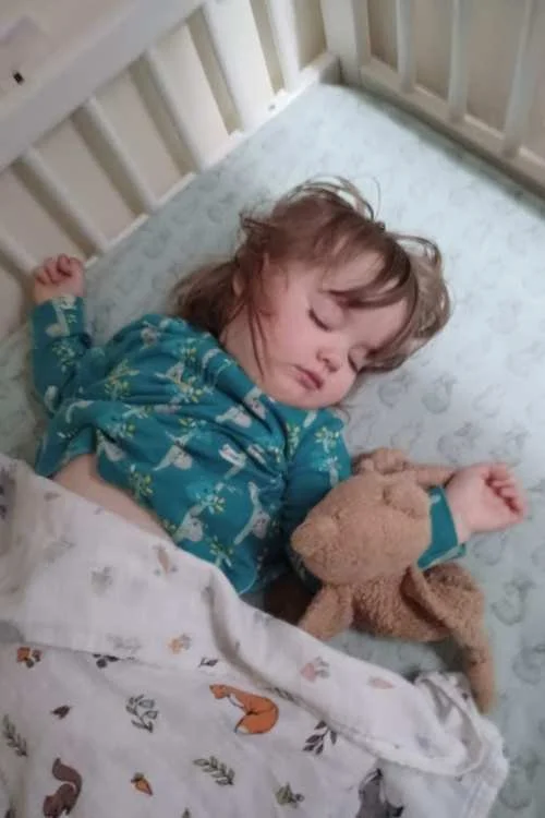 The little green sheep top natural twist cot bed